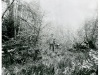 Little-Charles-W-likely-image-of-taken-at-Little-estate-or-near-Littles-Lake-photographer-unknown-001