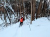 IMG_20201219_163836-EFFECTS_Original