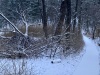 IMG_8018