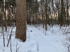 IMG_9427