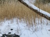IMG_9442